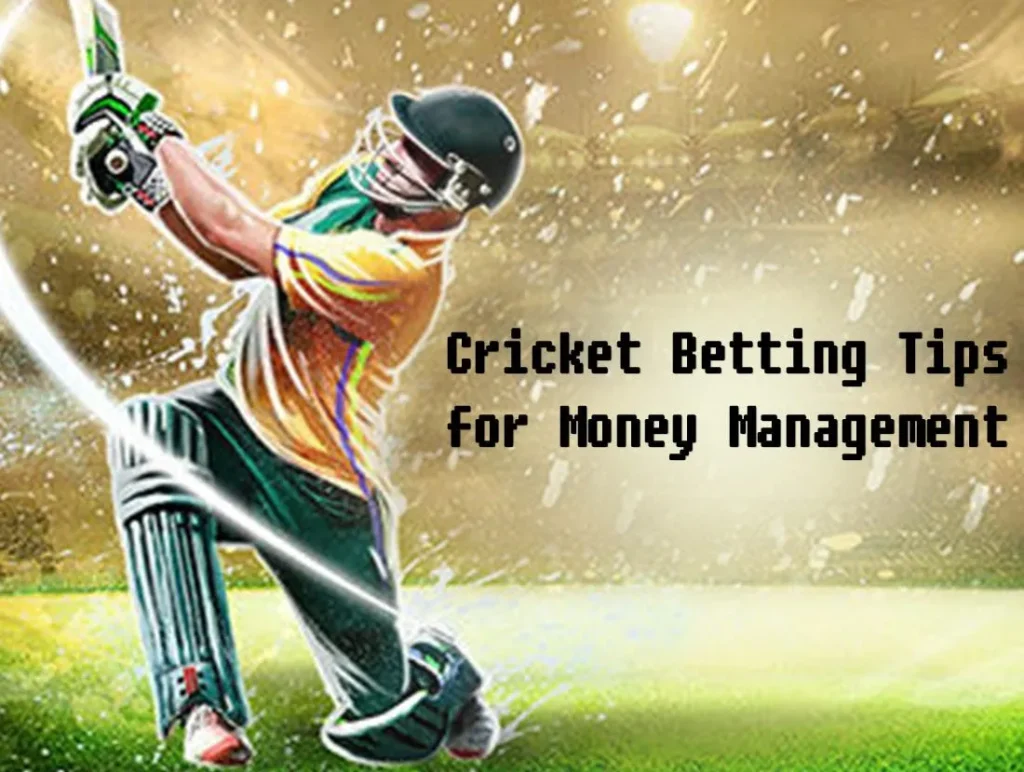 1 wI0sPasSHgrO sLp0yLmZw web