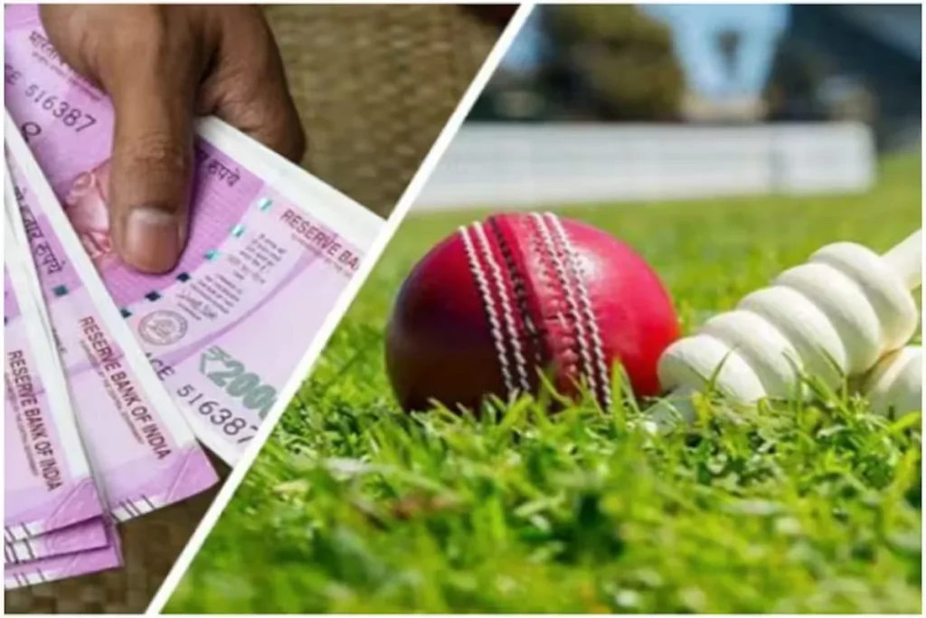 cricket betting web